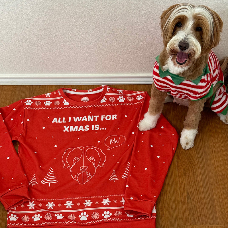 Custom Christmas Sweater - 30% OFF